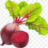 Beetroot - Image 4