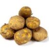 fresho! new Potato